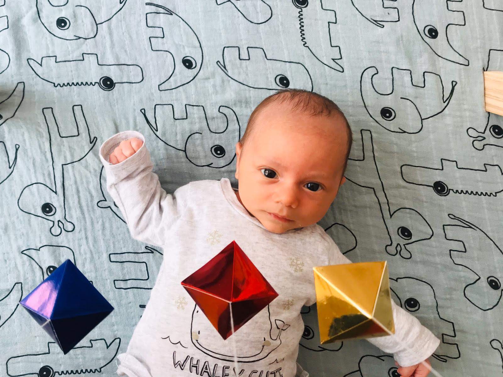 DIY Montessori Mobile Set DIY baby mobile sensory toys for -  Portugal
