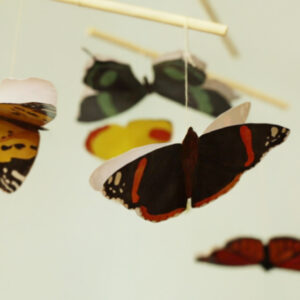 Montessori Butterfly baby mobile DIY kit