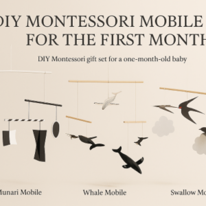 DIY Newborn Mobile Set