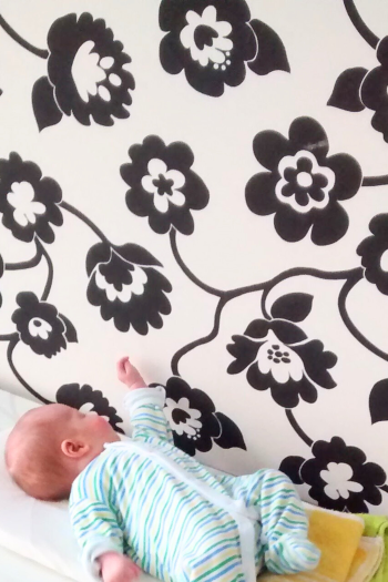 Recursos en blanco y negro