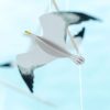 A seagull of the DIY Montessori Seagull mobile
